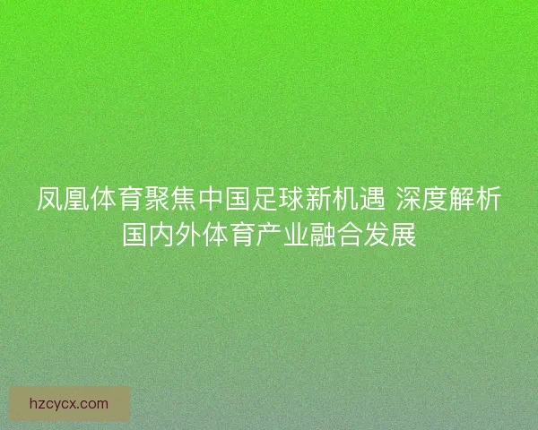 凤凰体育聚焦中国足球新机遇 深度解析国内外体育产业融合发展